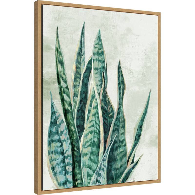 Amanti Art Reaching Snake Plant by PI Studio Framed Canvas Wall Art Print - Sylvie Maple