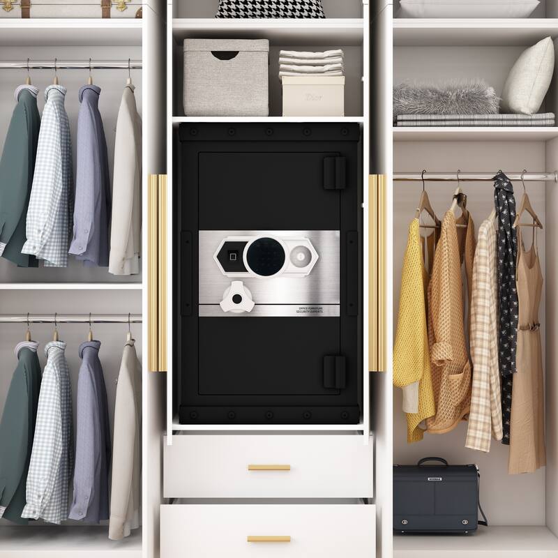 Roomfitters 28.3 Inch Biometric Security Safe with Fingerprint Lock and Hidden Compartment, Carbon Steel, Black - Black