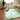Faux Fur Shag Rug Mint Green - 5' x 7'