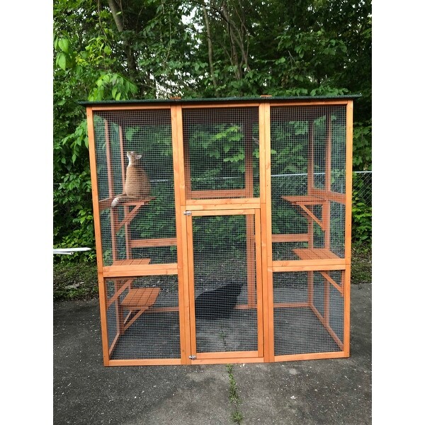 Shop Large Wooden Outdoor Cat Enclosure Cage With 6 Platforms 71