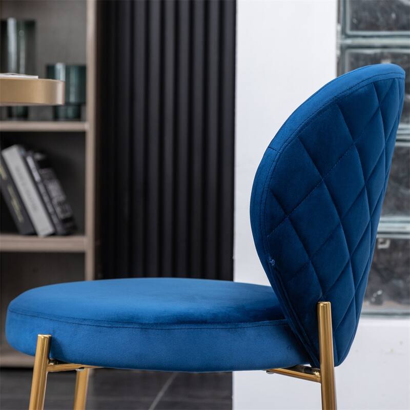 Modern Velvet Upholstery Dining Chair with Metal Frame (Set of 2)