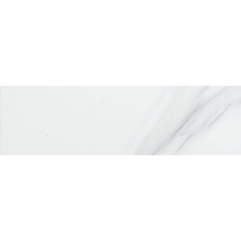 The Tile Life Tmolus 4x13 Porcelain Floor and Wall Tile