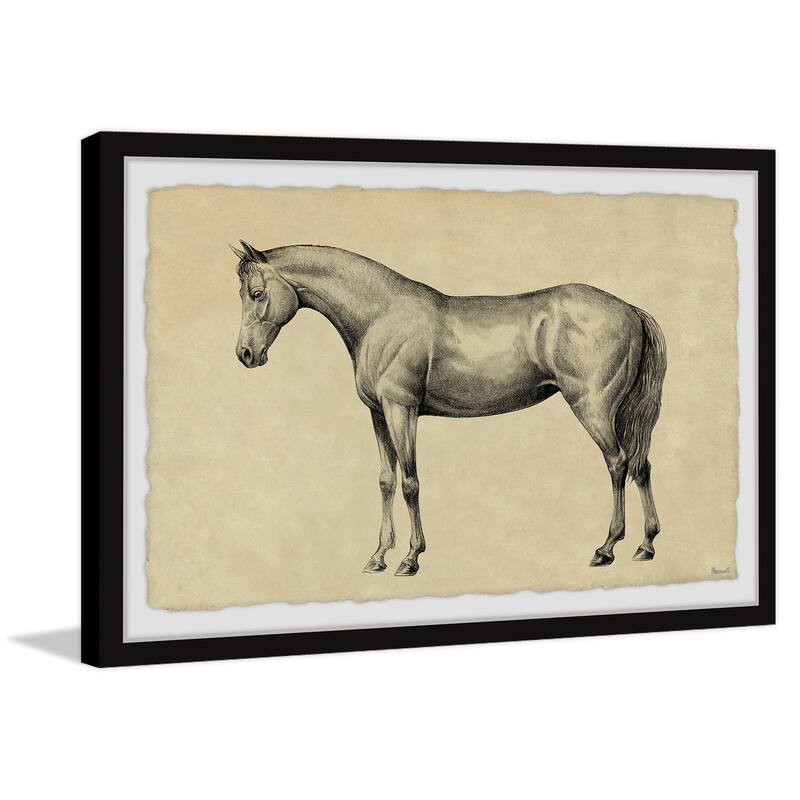 Powerful Mover Framed Print