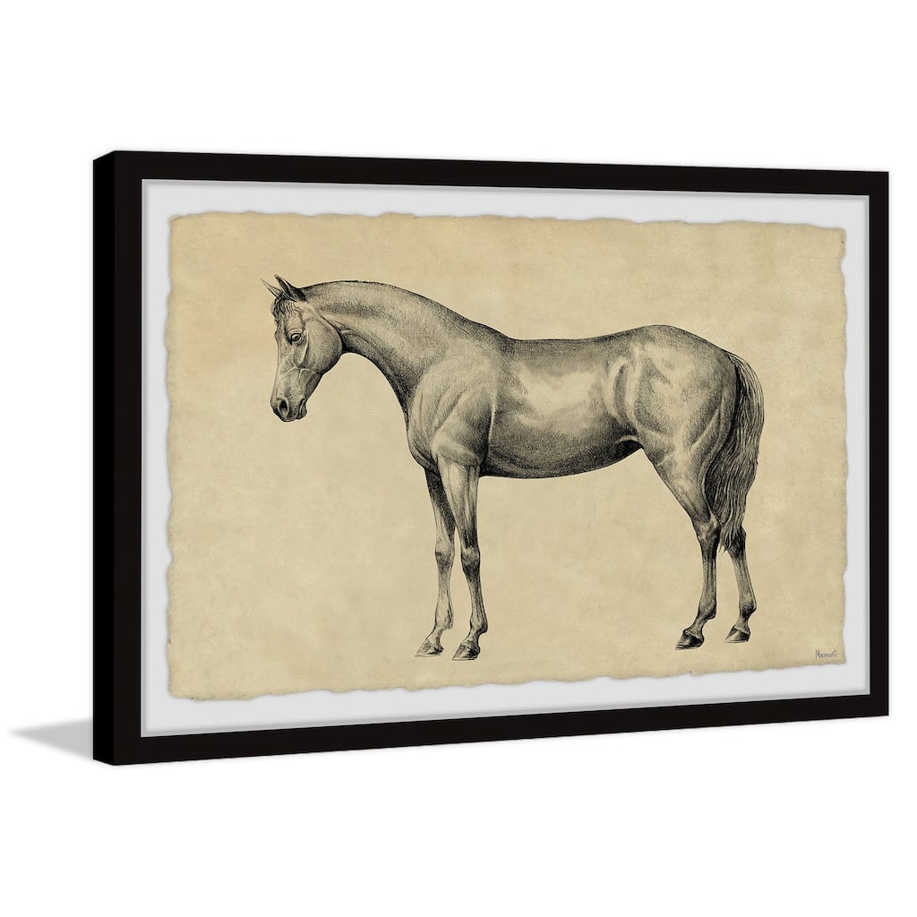 Powerful Mover Framed Print