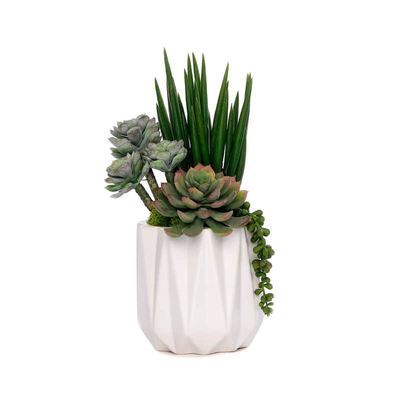 Succulent Arrangement in White Metal Pot - Green