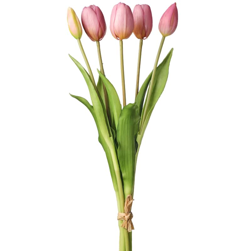 Plastic Soft Touch Tulip Bundlex5 15.25"