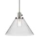 Option Brushed Nickel
