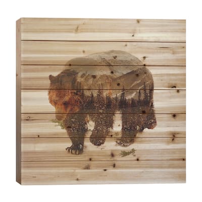 Bear I Print On Wood by Andreas Lie - Multi-Color