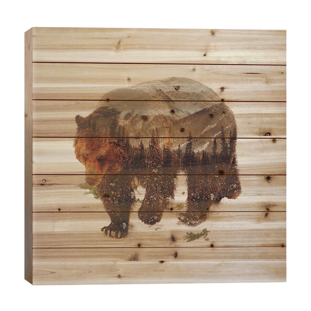 Bear I Print On Wood by Andreas Lie - Multi-Color