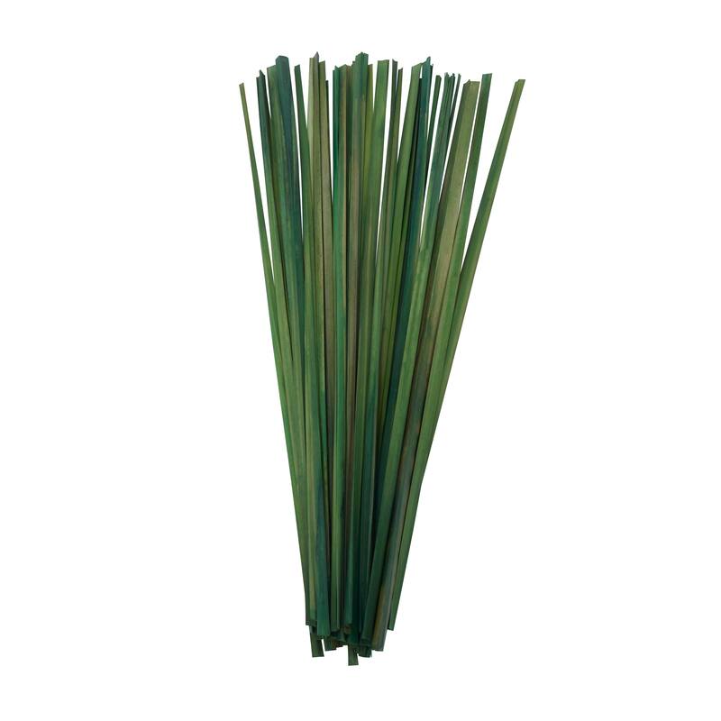 Dried Hogla Babala Bamboo Natural Foliage Collection - Multiple Colors