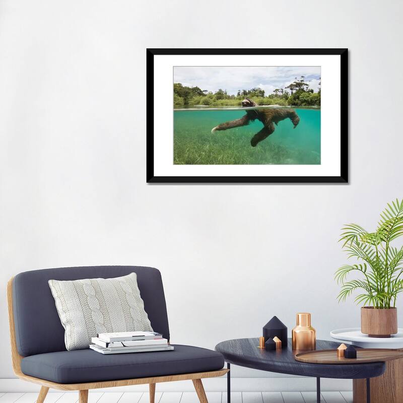 iCanvas "Pygmy Three-Toed Sloth Swimming In Mangrove Forest, Isla Escudo De Veraguas, Panama" by Suzi Eszterhas