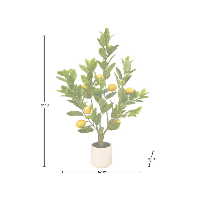 3' Potted Tuscan Lemon Tree