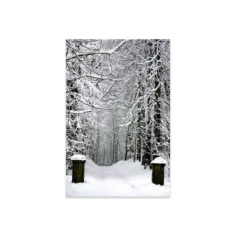Winter Time Print On Acrylic Glass by Unknown Artist