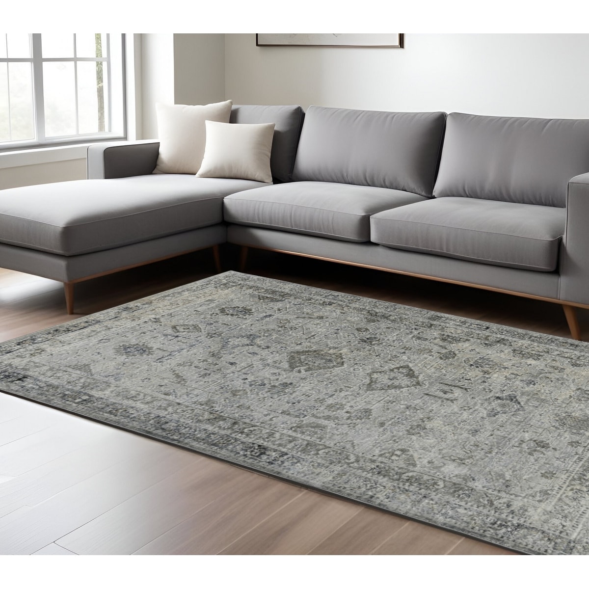 HomeRoots Pawo Medallion Transitional Rectangle Area Rug