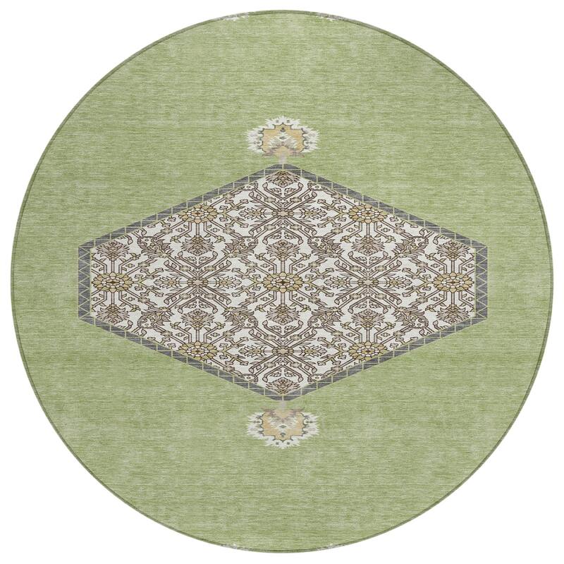Machine Washable Indoor/ Outdoor Traditional Chantille Rug