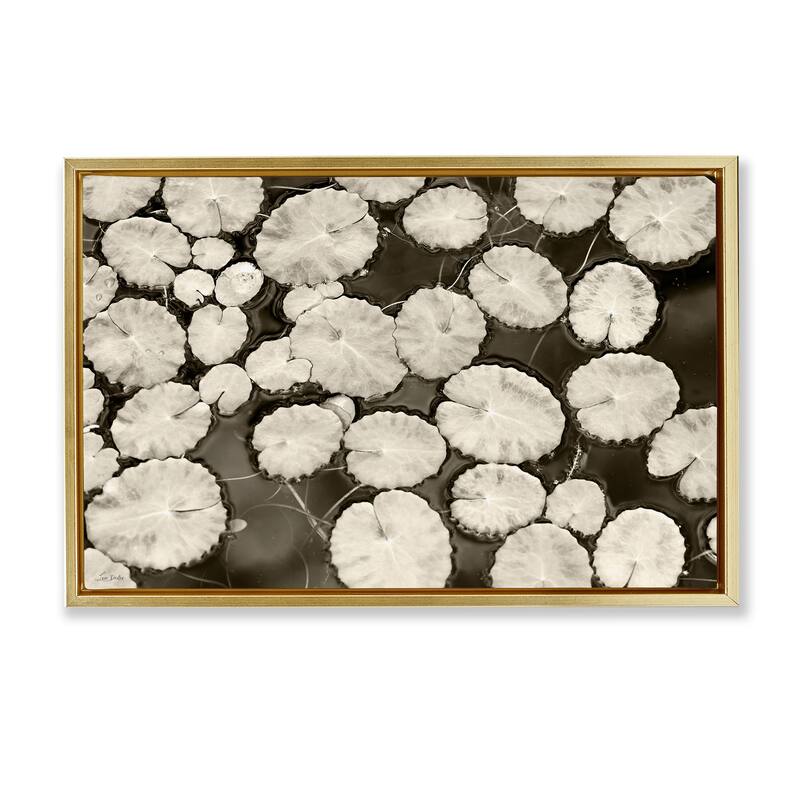 Stupell White Floating Lily Pads Framed Floater Canvas Wall Art Design By Lori Deiter - 25 x 17 - Gold