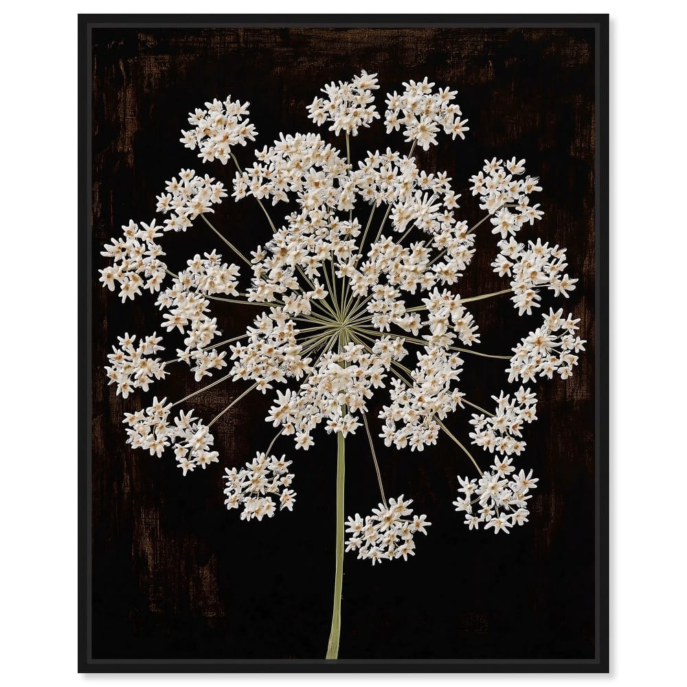 Umbel of Light I Canvas by Art Remedy