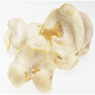 Red barn hot sale white knuckle bone