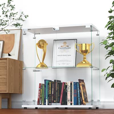 Glass Display Cabinet with 2 Shelves, Curio Cabinet
