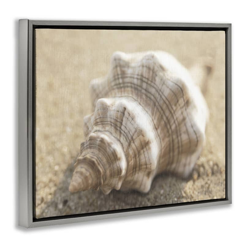 Stupell Neutral Tone Conch Shell Framed Floater Canvas Wall Art Design By Dora Rotondella
