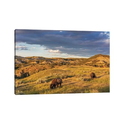 iCanvas "Bison grazing in badlands in Theodore Roosevelt National Park, North Dakota, USA" by Chuck Haney Canvas Print
