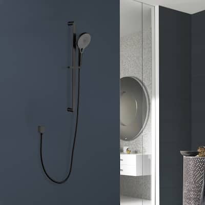Topcraft Stainless Steel Handheld Shower with 28-Inch Slide Bar