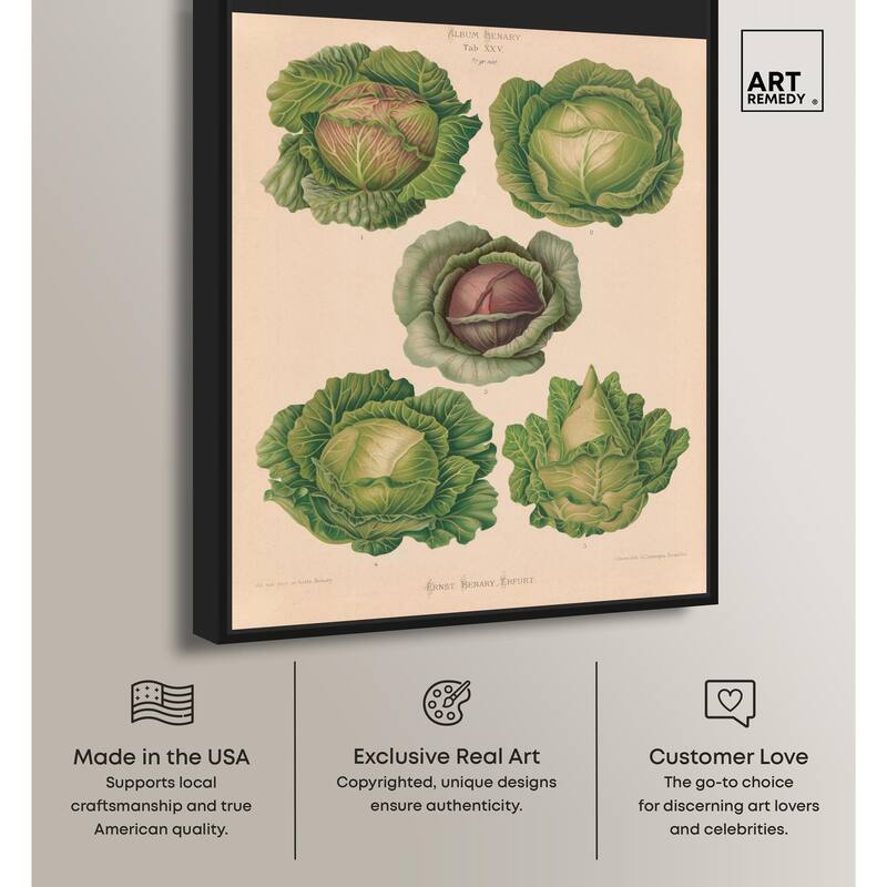 Cabbages by Benary 1876 Canvas by Art Remedy