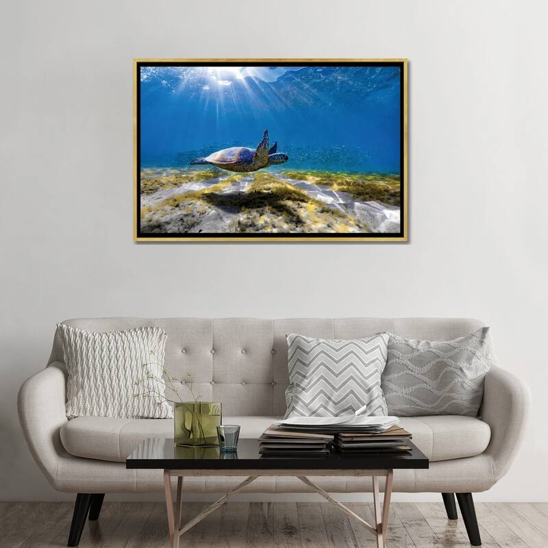 iCanvas "Waimea Turtle Glide" by Sean Davey Framed