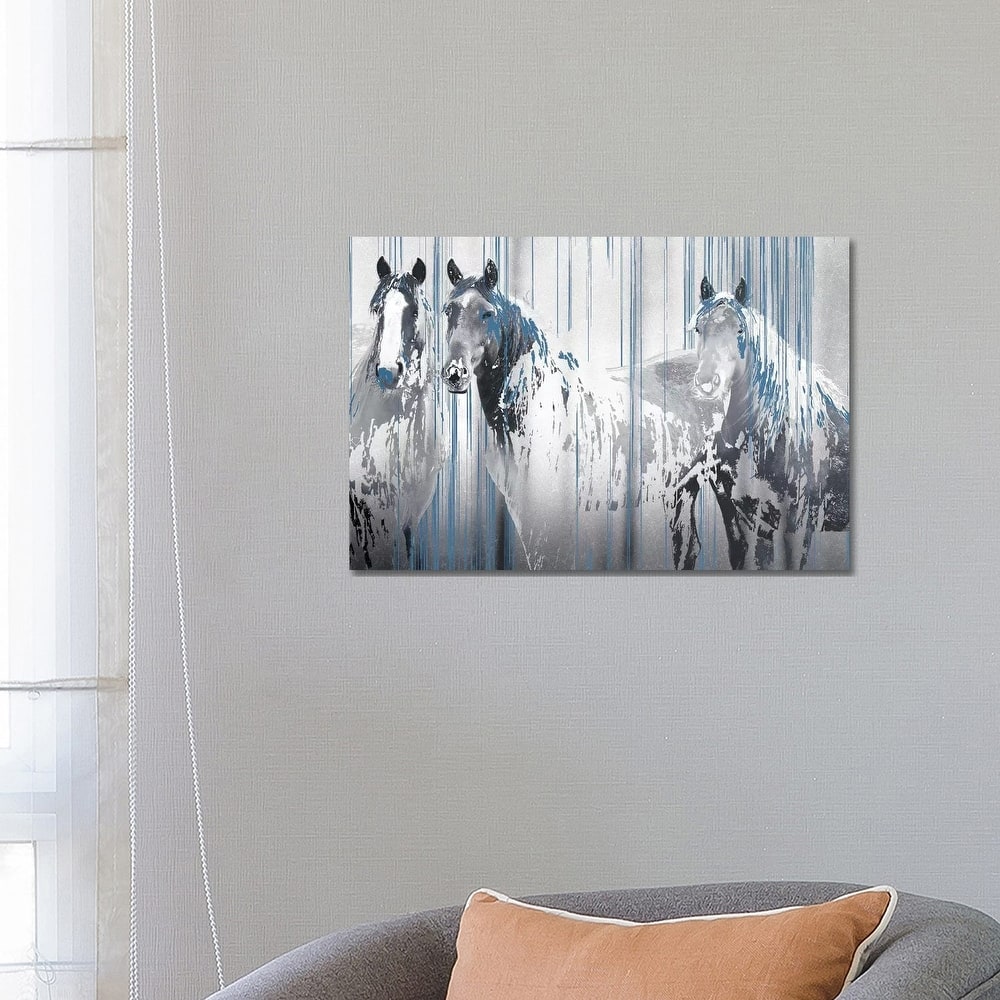 iCanvas "Three's Company" by Marvin Pelkey Canvas Print