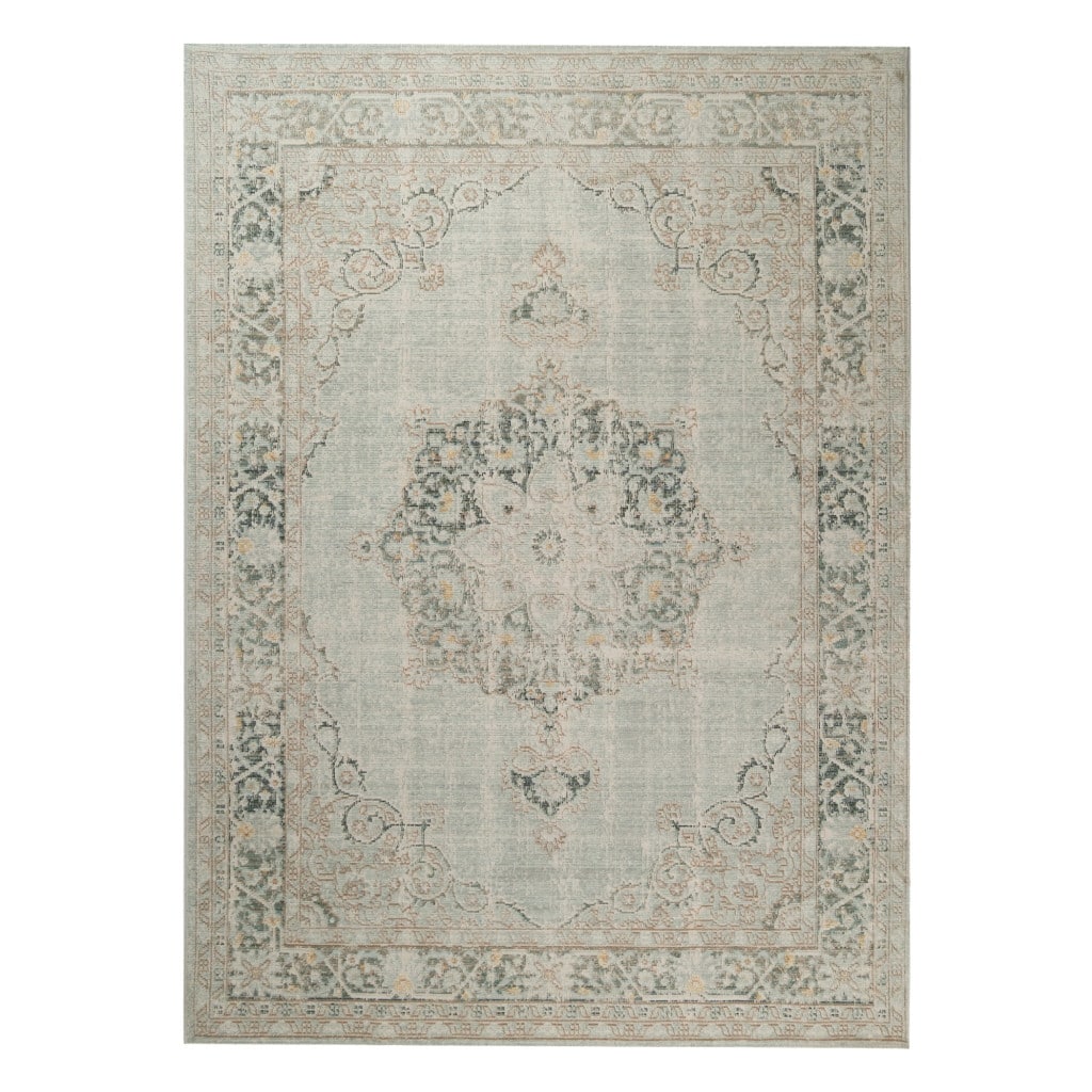 Power Loomed Distressed Area Rug - 2' x 3'