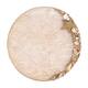 Option Ivory