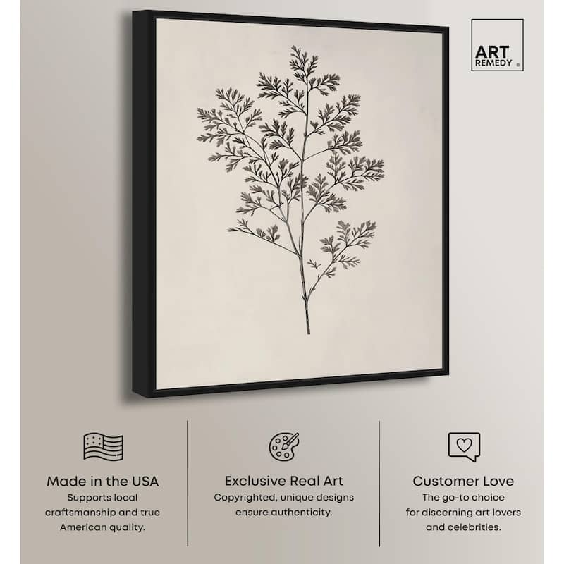 Aniseed Anatomy II Canvas Delicate Floral by Art Remedy