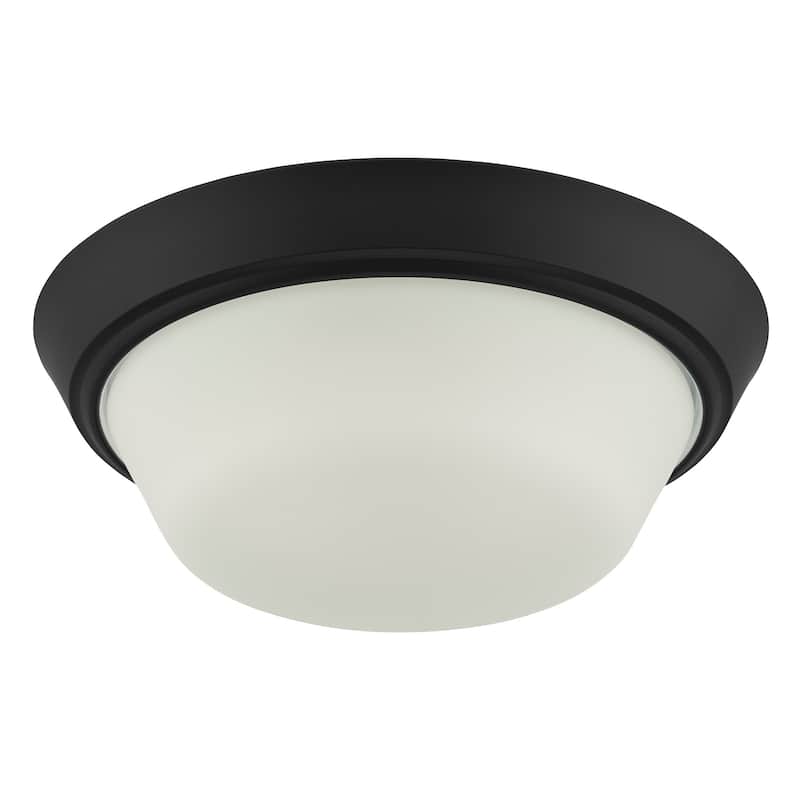Progress Lighting P350303 Edessa 2 Light 13" Wide Flush Mount Bowl