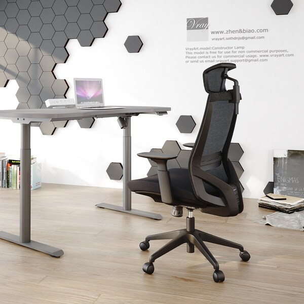 Top Product Reviews For Autonomous Ergochair Premium Ergonomic Office Chair 13001186 Overstock