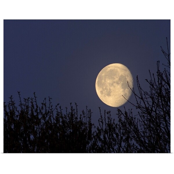 "Moon setting in North Carolina" Poster Print