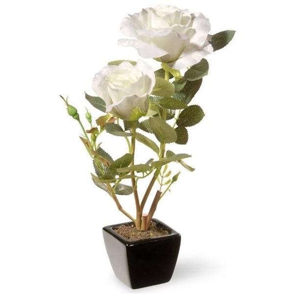 National Tree NF36-5144S-1 Potted White Carnations Black Square Ceramic Base