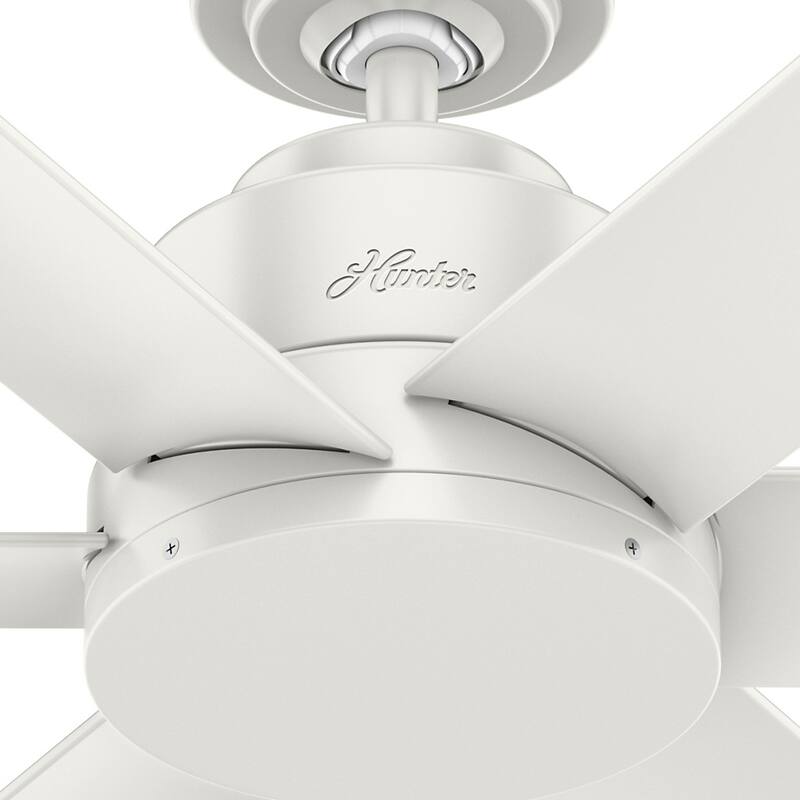Hunter 44" Kennicott Outdoor Ceiling Fan with Wall Control, Damp Rated - Industrial, Contemporary, Transitional