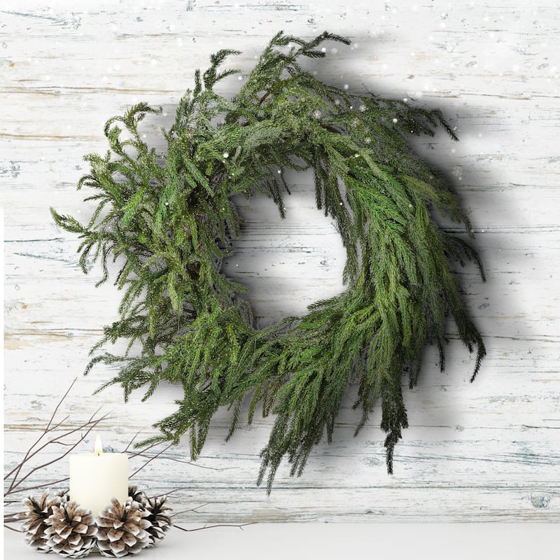 24" Iced Garden Norfolk Pine Wreath - Natural Frost
