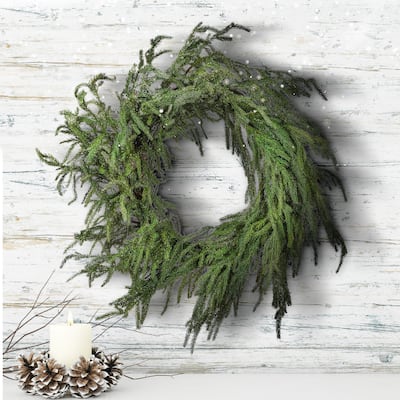 24" Iced Garden Norfolk Pine Wreath - Natural Frost