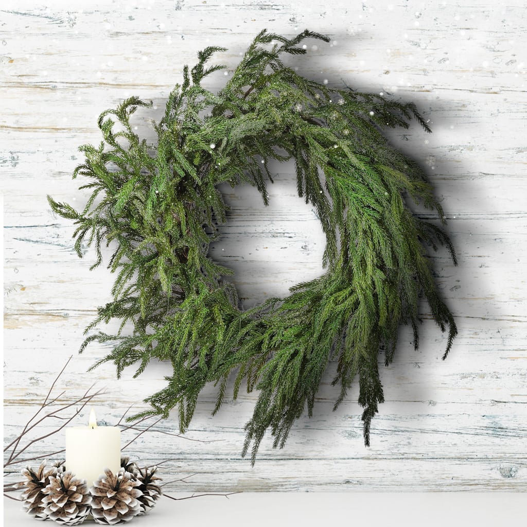 24" Iced Garden Norfolk Pine Wreath - Natural Frost