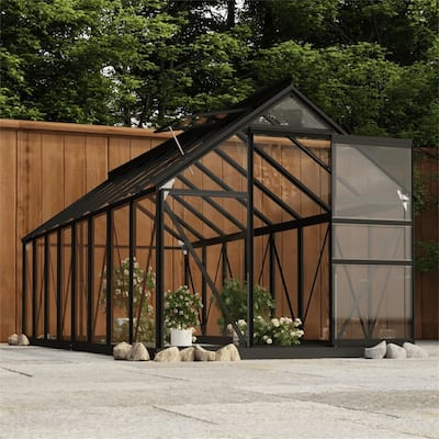 Glass Greenhouse for Outdoor 61"x 155.7"x 75.2" Aluminum Anthracite