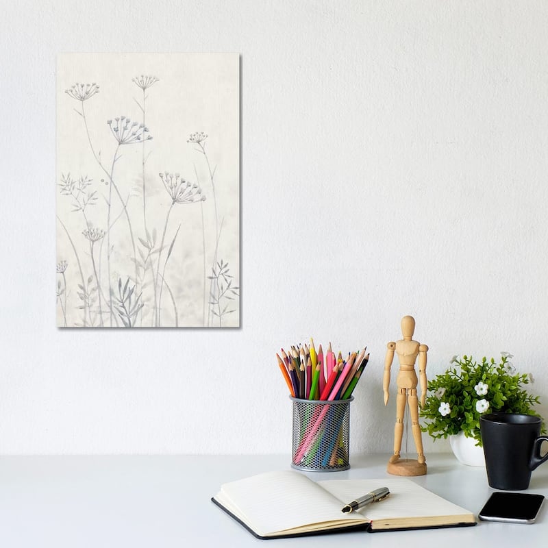 iCanvas "Neutral Queen Anne's Lace I" by Tim OToole Canvas Print - 12x8x0.75