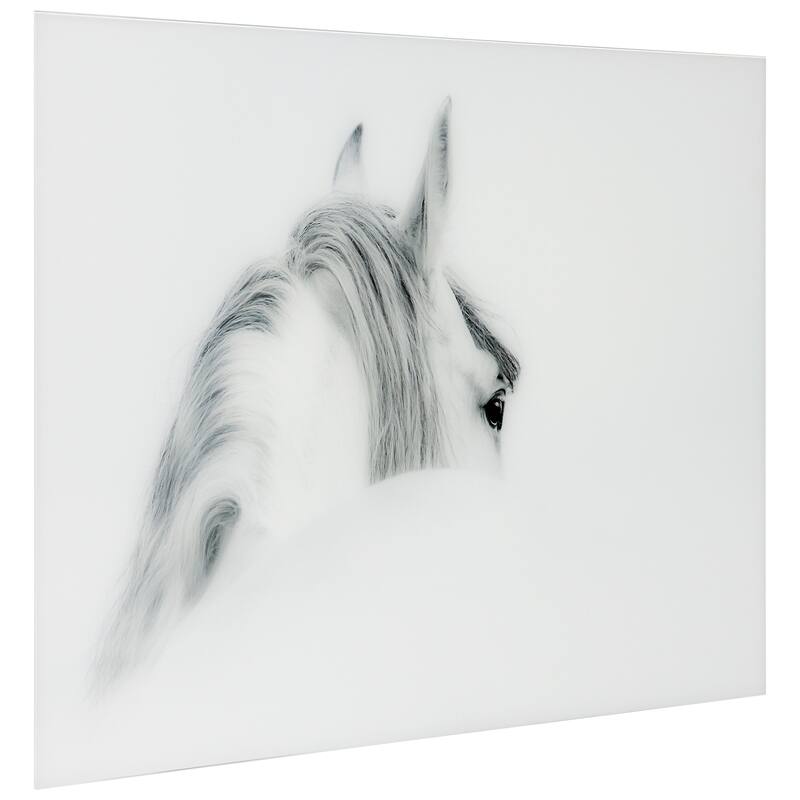 "Blanco Mare Horse" Frameless Free Floating Tempered Glass Panel Graphic Wall Art