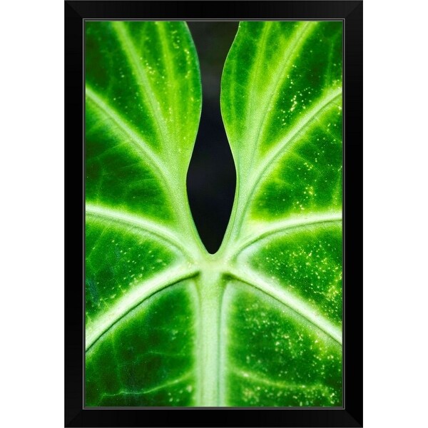 "Close-up of a green leaf, Hawaii Tropical Botanical Garden" Black Framed Print