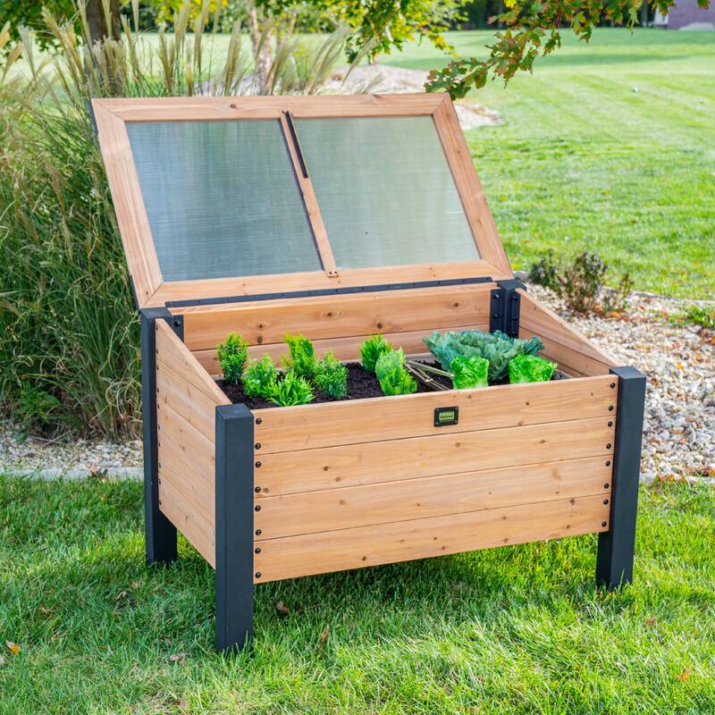 Backyard Discovery Aggie 4x2' Cedar Cold Frame Mini Greenhouse, PC Lid - aggie c