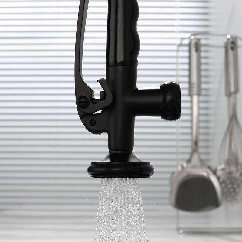 2 Spout Single Handle Kitchen Faucet with Pull Down Sprayer