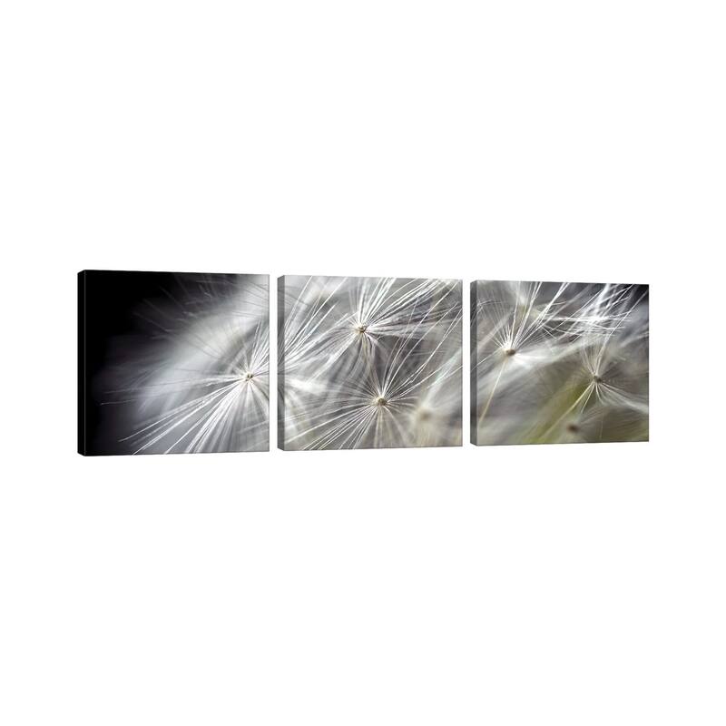 iCanvas "Close-Up Of Dandelion On Black" by Tom Quartermaine 3-Piece Canvas Wall Art Set