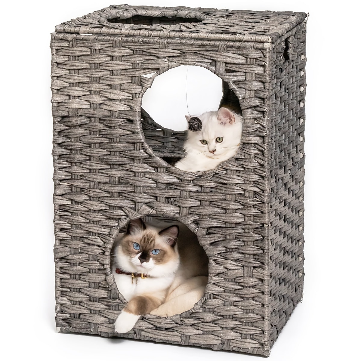Bed bath and beyond cat bed 2025