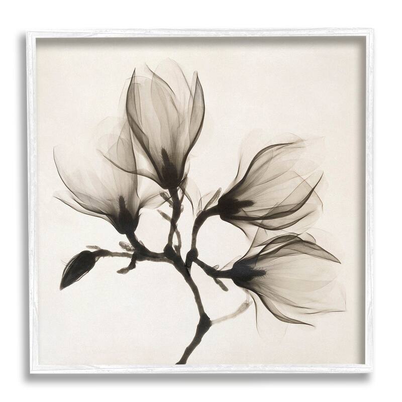 Stupell Sepia Tone Tree Blossom Florals Translucent Flowers Framed Wall Art - Black - 17 x 17 - White