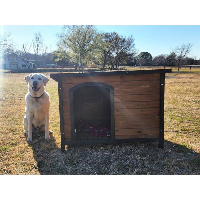 Zylina Large Cabin Home Dog House
